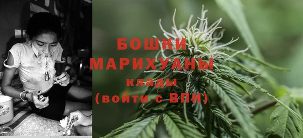 мдпв Вязники